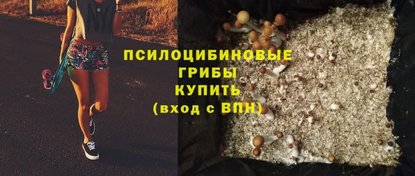 скорость Богородицк