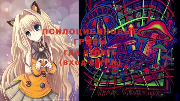 ешки Богданович